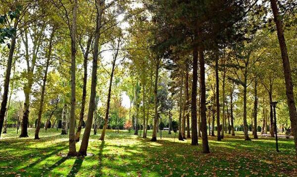 عکسهای دیدنی طرقبه