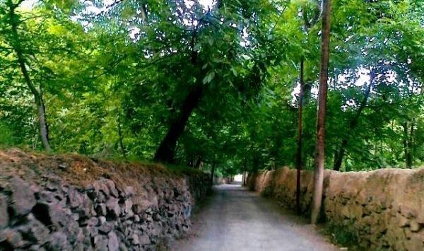 عکسهای دیدنی طرقبه
