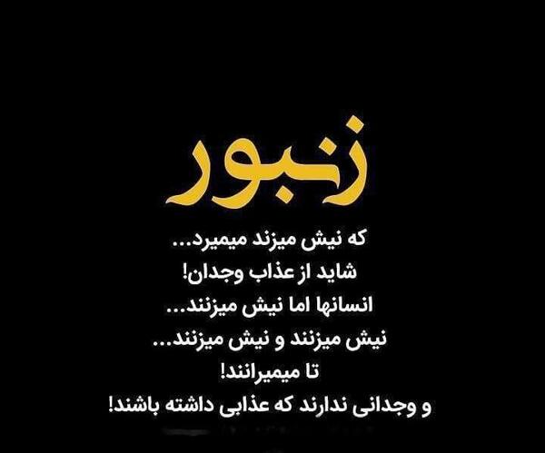 عکس پروفایل دختر زنبوری