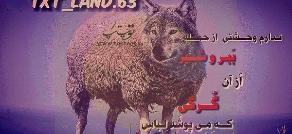 عکس پروفایل مردانه گرگ