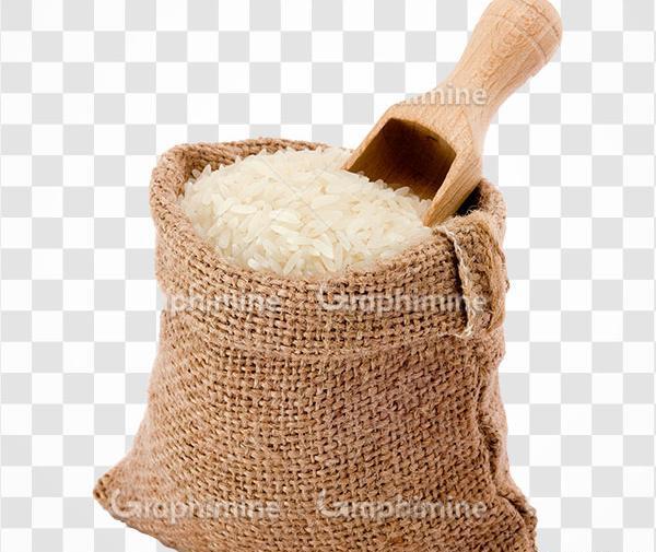 عکس وکتور برنج