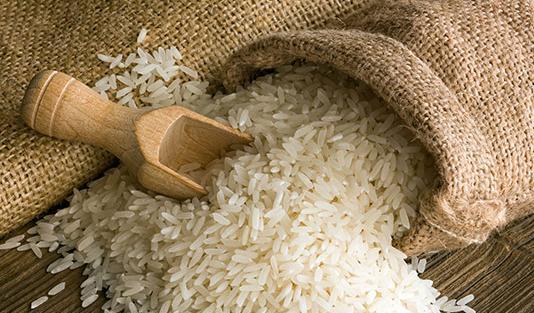 عکس وکتور برنج