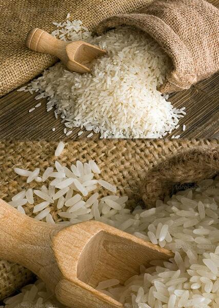 عکس وکتور برنج
