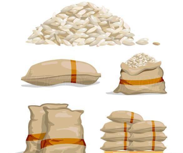 عکس وکتور برنج