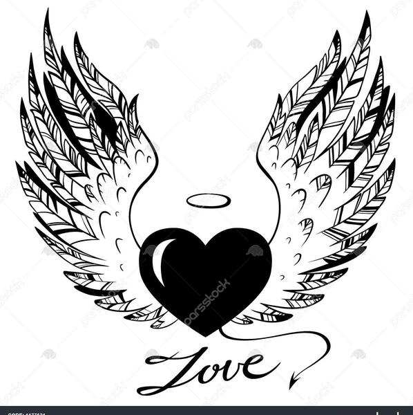 عکس قلب پرنده