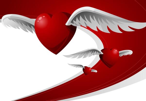 عکس قلب پرنده