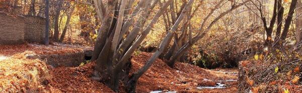 عکس جاهای دیدنی طرقبه مشهد