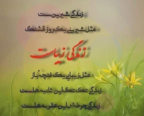 عکس پروفایل زندگی زیباست