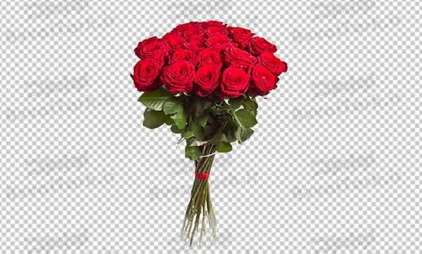 عکس لایه باز گل رز