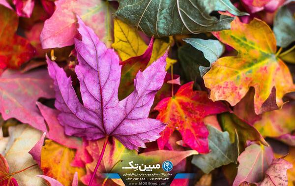 عکس طبیعت با کیفیت بالا