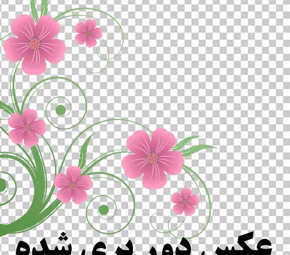 عکس png گل