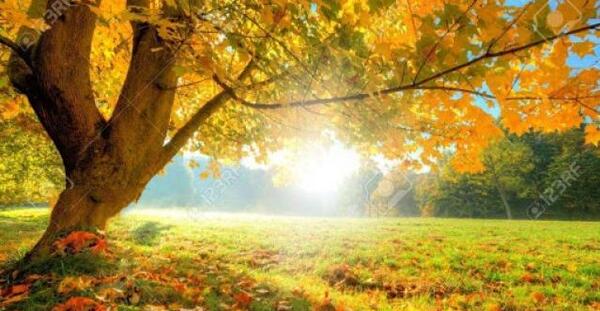 عکس پاییزی صبح بخیر