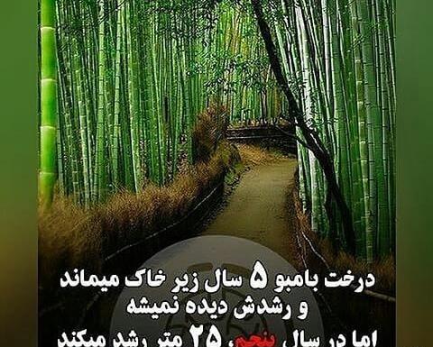 عکس برای وضعیت واتساپ انرژی مثبت
