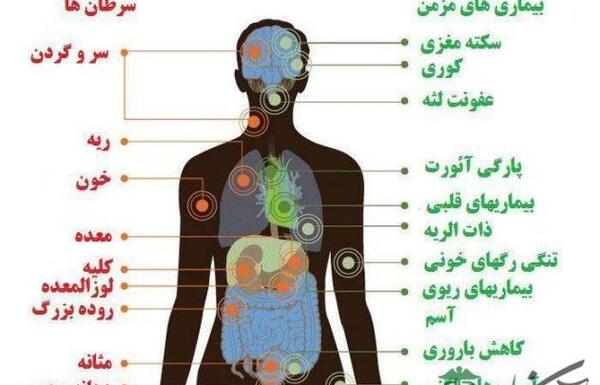 عکس ریه قلیان