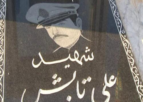 عکس علی تابش