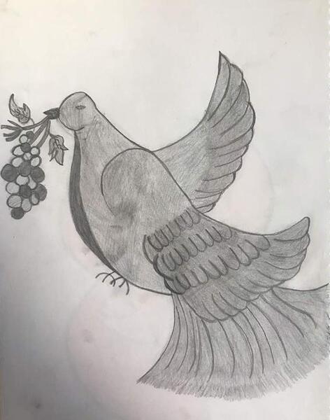 عکس نقاشی ثنا