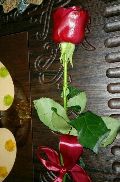 عکس گل برای استوری واتساپ