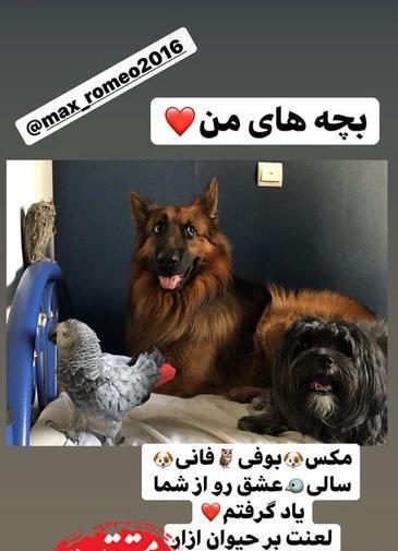 عکس بچه نفیسه روشن