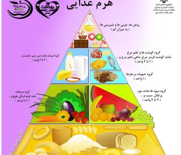 عکس هرم غذایی خالی