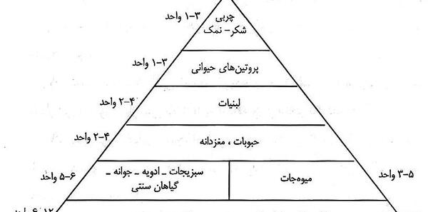 عکس هرم غذایی خالی