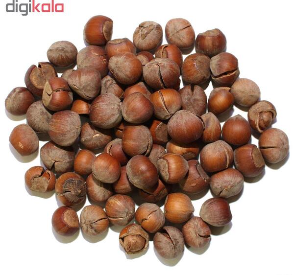 عکس فندق خام