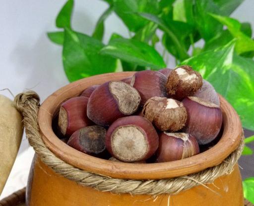 عکس فندق خام