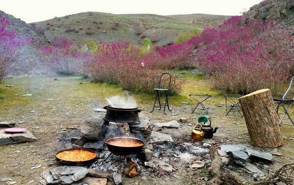 عکس تنگه ارغوان ایلام