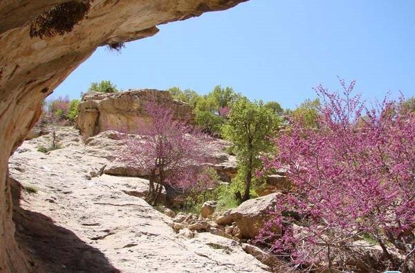 عکس تنگه ارغوان ایلام