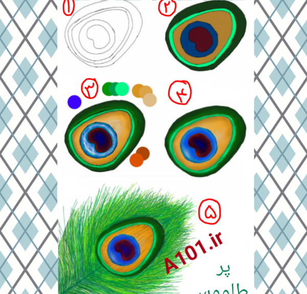 عکس ساده طاووس