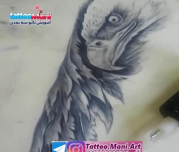 عکس تاتو عقاب روی بازو