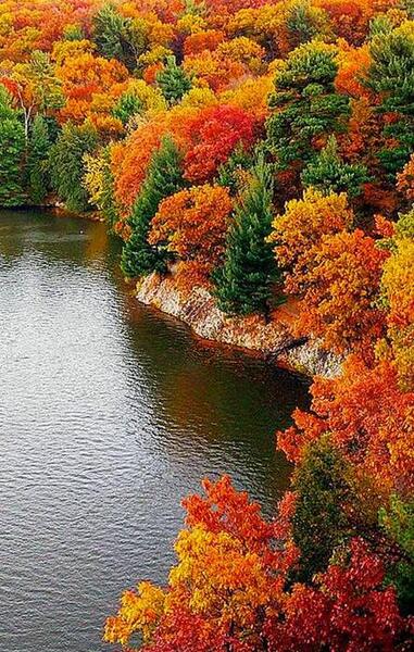 عکس پس زمینه طبیعت زیبا