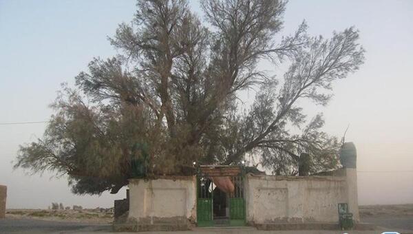 عکسهای دیدنی زابل