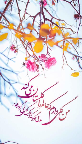 عکس استوری امام زمانی