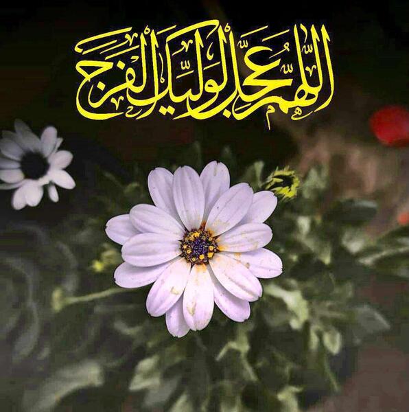 عکس استوری امام زمانی