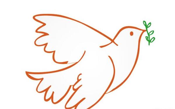 عکس وکتور هدهد