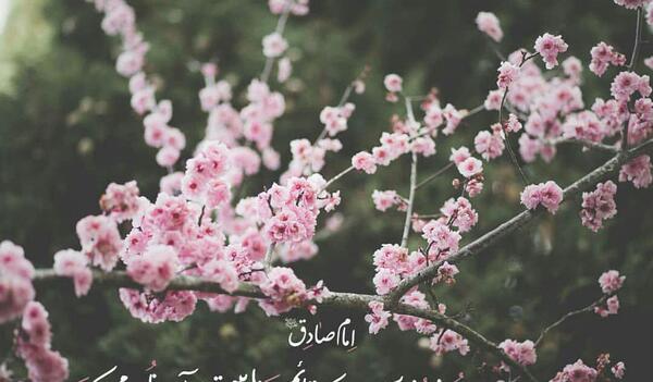 عکس و تصویر ظهور امام زمان