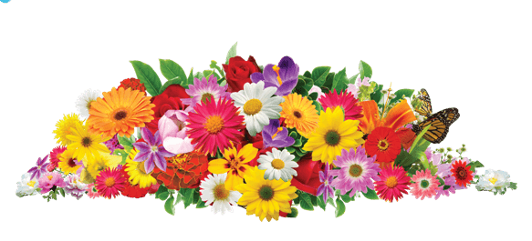 عکس png با کیفیت