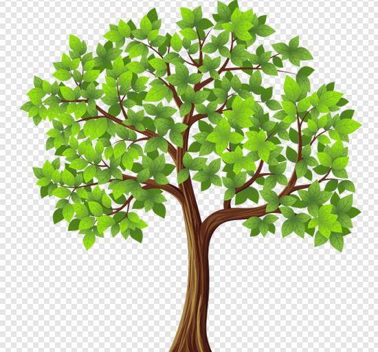عکس png با کیفیت