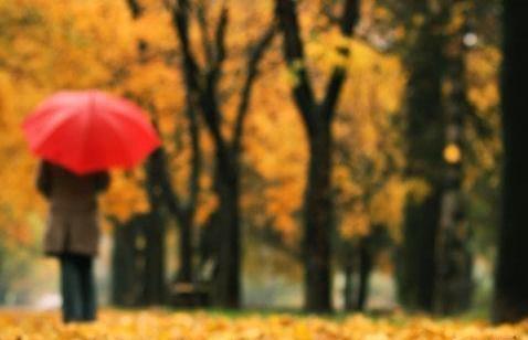 عکس یک پاییز زیبا