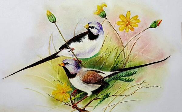 عکس ایده برای آموزش نقاشی