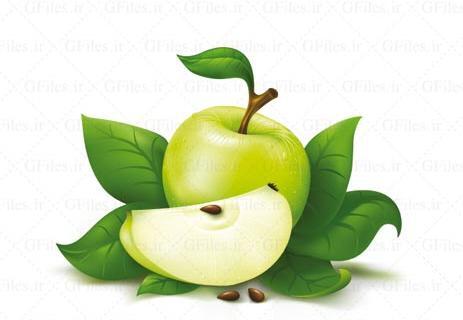 عکس دانلود وکتور سیب