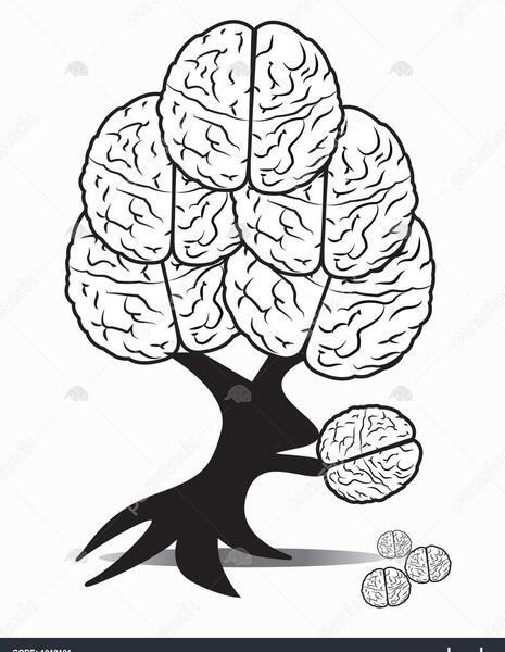 عکس درخت ذهن
