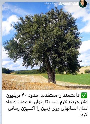 عکس درخت ذهن