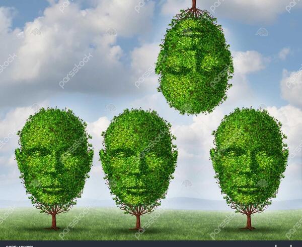 عکس درخت ذهن