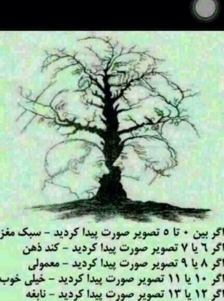 عکس درخت ذهن