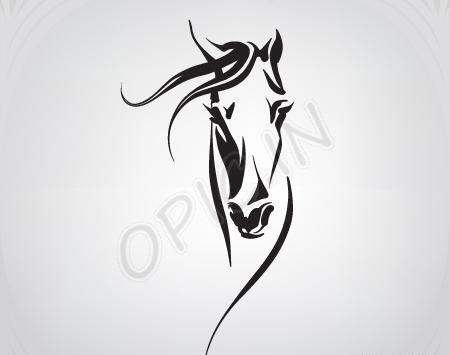 عکس وکتور اسب