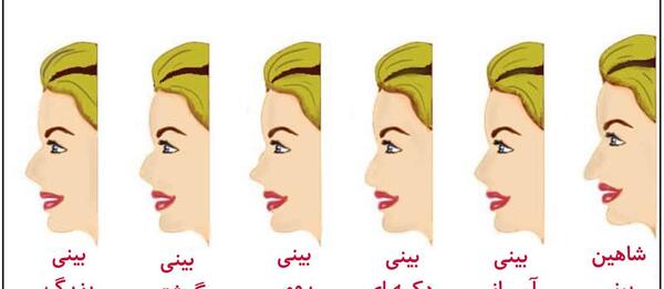 عکس مدل های عمل بینی