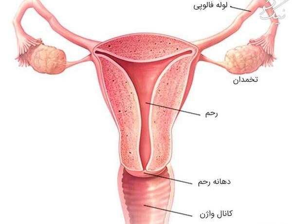 عکس درباره همه چیز
