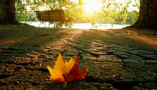عکس پس زمینه برای کامپیوتر