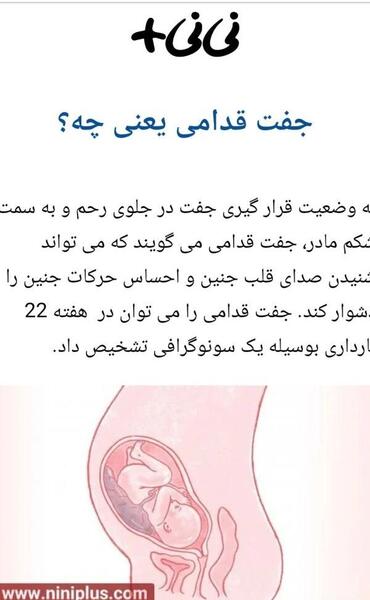 عکس و تصویر جفت فوندال
